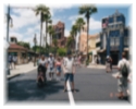Disney MGM, FL